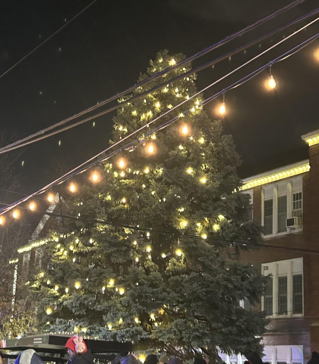 Tree Lighting in North Arlington